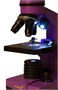 Оптический микроскоп Levenhuk Rainbow 2L Amethyst\Аметист 1783408852