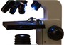 Оптический микроскоп Levenhuk Rainbow 2L Moonstone\Лунный камень 992796937