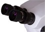 Оптический микроскоп Levenhuk ZOOM 1B 1010531276