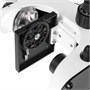 Оптический микроскоп Микромед С-11 (вар. 1B LED) 452472764