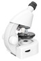 Оптический микроскоп Levenhuk Discovery Micro Polar с книгой 545428634