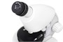 Оптический микроскоп Levenhuk Discovery Micro Polar с книгой 545428634