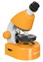 Оптический микроскоп Levenhuk Discovery Micro Solar с книгой 2039050781