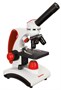 Оптический микроскоп Levenhuk Discovery Pico Terra с книгой 13420151