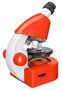 Оптический микроскоп Levenhuk Discovery Micro Terra с книгой 816239229