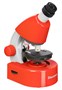 Оптический микроскоп Levenhuk Discovery Micro Terra с книгой 816239229