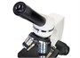 Оптический микроскоп Levenhuk Discovery Femto Polar с книгой 1078754749