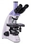 Оптический микроскоп MAGUS Bio 250TL 1842137708