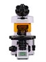 Оптический люминесцентный микроскоп MAGUS Lum 450L 1958414566