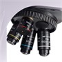 Оптический люминесцентный микроскоп MAGUS Lum 450L 1958414566