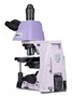 Оптический микроскоп MAGUS Bio 290T 1457829097