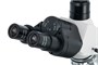Оптический микроскоп Levenhuk 900T 1373370933