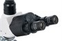 Оптический микроскоп темнопольный Levenhuk 950T DARK 1944455005