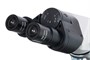 Оптический микроскоп Levenhuk 900B 2052417302
