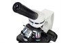 Оптический микроскоп Discovery Atto Polar с книгой 1744544913