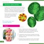 Оптический микроскоп Discovery Micro Terra с книгой 1377220345