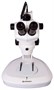Стереоскопический микроскоп Bresser Science ETD-201 8–50x Trino 1403490915