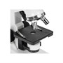 Оптический микроскоп Celestron 40x-600x 1202943828