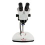 Оптический микроскоп стерео Микромед МС-2-ZOOM вар.1CR 1503504666