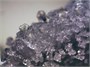 Оптический стереоскопический микроскоп Bresser Erudit ICD 20x/40x 1433730049