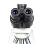 Оптический микроскоп Биомед 6 вар. 3 LED 923426647