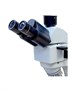 Оптический металлографический микроскоп Levenhuk MM500LED 429341706