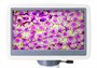 Цифровой микроскоп Levenhuk D85L LCD 1317668678