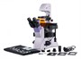 Цифровой люминесцентный инвертированный микроскоп MAGUS Lum VD500L LCD 59803697