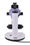 Цифровой стереоскопический микроскоп MAGUS Stereo D9T 571284496