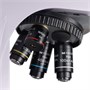 Цифровой микроскоп MAGUS Bio DH260 345847159