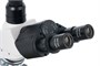 Цифровой микроскоп Levenhuk D900T 1911014447