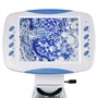 Цифровой микроскоп Levenhuk D400 LCD 1181670451