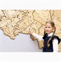 Карта России Логикус средняя (без подсветки) 1450495913