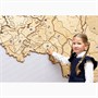 Карта России стандартная Логикус 117424727