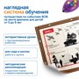 Комплект для группы "Великая Отечественная война. Лента времени" Learning Resources MS0091 1563744857