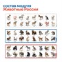 Комплект "Природные богатства России с РобоМышью" (2 робомыши) Learning Resources MS0103 458949572