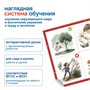 Модуль "Бережем природу" РобоМышь с тематическими полями и аксессуарами" Learning Resources MS0107 50536545