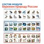 Комплект "Природные богатства России с РобоМышью с системой хранения" (2 робота) Learning Resources MS0103 1747464164