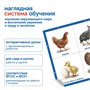 Модуль "Наше сельское хозяйство. Домашние животные и птицы" Learning Resources MS0105 2025892057