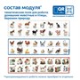 Модуль "Наше сельское хозяйство. Домашние животные и птицы" Learning Resources MS0105 2025892057
