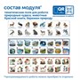 Модуль "Бережем природу России" Learning Resources MS0102/5 104570188