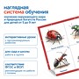 Модуль "Птицы, рыбы, насекомые России" Learning Resources MS0102/4 156215278