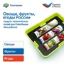Модуль "Овощи, фрукты, ягоды России" Learning Resources MS0102/2 1086243620