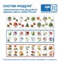 Модуль "Овощи, фрукты, ягоды России" Learning Resources MS0102/2 1086243620