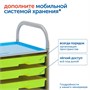 Модуль "Овощи, фрукты, ягоды России" Learning Resources MS0102/2 1086243620
