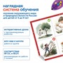 Комплект "Природные богатства России" без робота с системой хранения Learning Resources MS0102 945973447