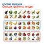 Комплект "Природные богатства России" без робота с системой хранения Learning Resources MS0102 945973447