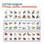 Комплект "Природные богатства России с РобоМышью с системой хранения" (4 робота) Learning Resources MS0104 1211016319