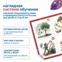 Комплект "Природные богатства России с РобоМышью" (4 робомыши) Learning Resources MS0104 875512622