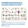 Комплект "Природные богатства России с РобоМышью" (4 робомыши) Learning Resources MS0104 875512622